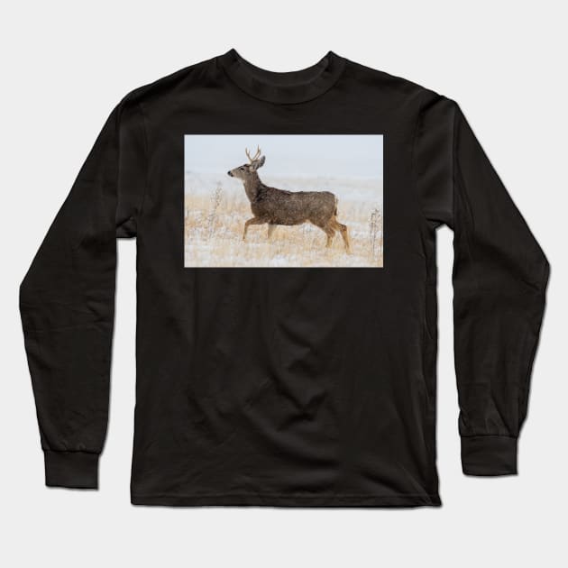 Walking in the snow Long Sleeve T-Shirt by gdb2